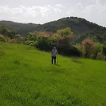 בית הארחה Sofia Gllava - Memaliaj