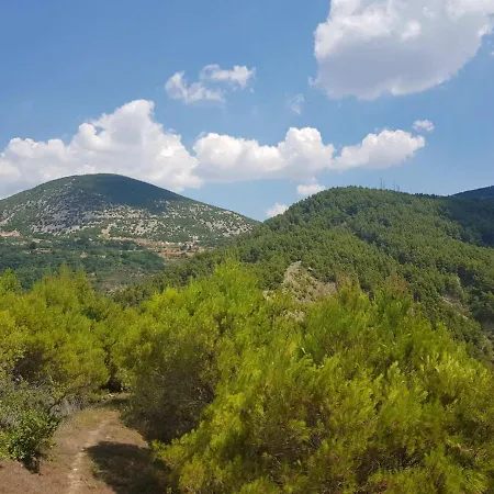 Sofia Gllava - 게스트하우스