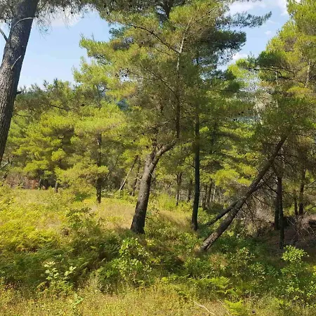 Sofia Gllava - 게스트하우스