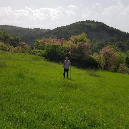 Гостевой дом Sofia Gllava - Memaliaj