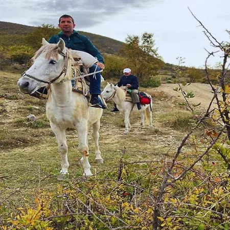 Sofia Gllava - 게스트하우스 Memaliaj