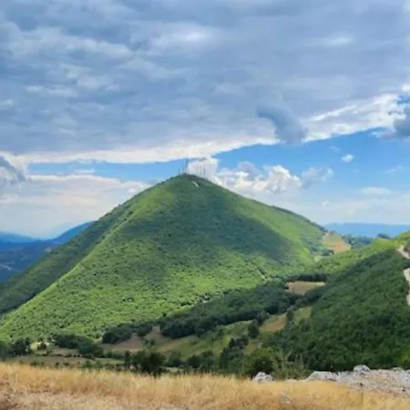 Sofia Gllava - 4* Memaliaj