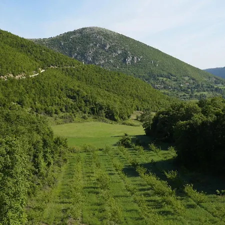 Sofia Gllava - Memaliaj