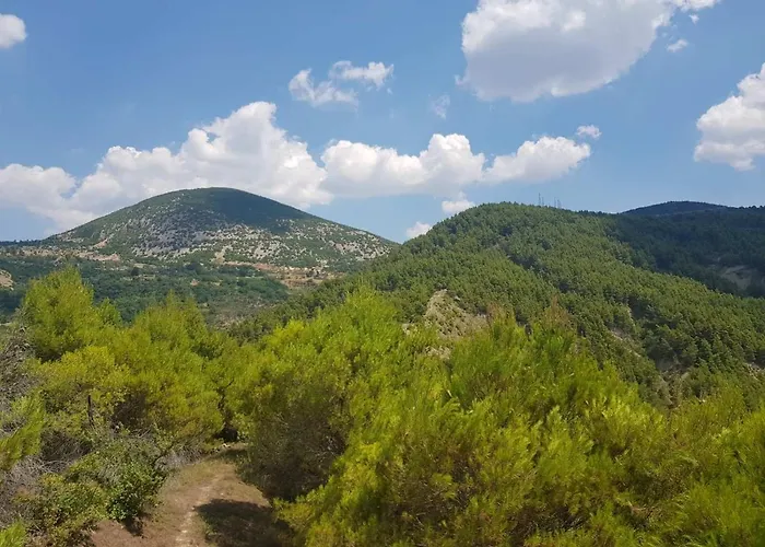 Sofia Gllava - Πανσιόν