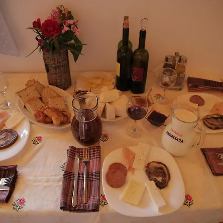 Sofia Gllava - Affittacamere 4*