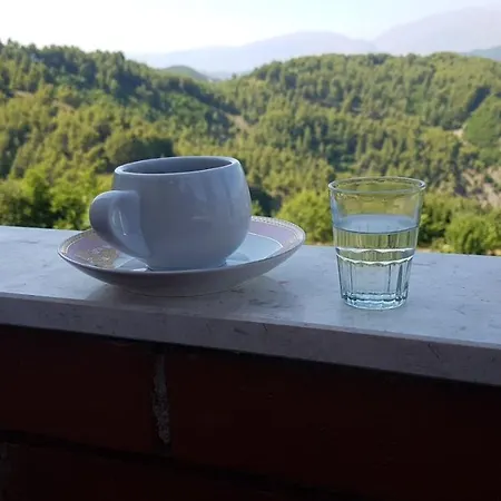 Sofia Gllava - Affittacamere 4*