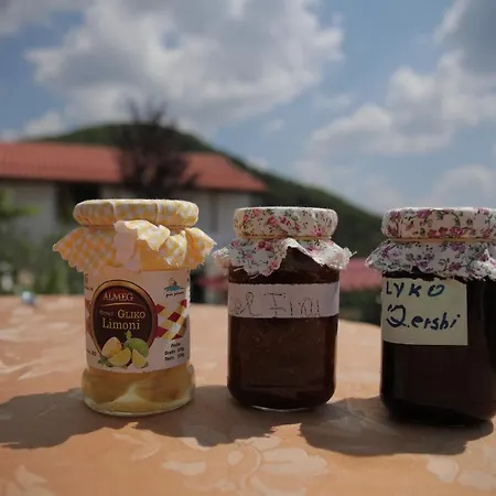 Sofia Gllava - Affittacamere 4*