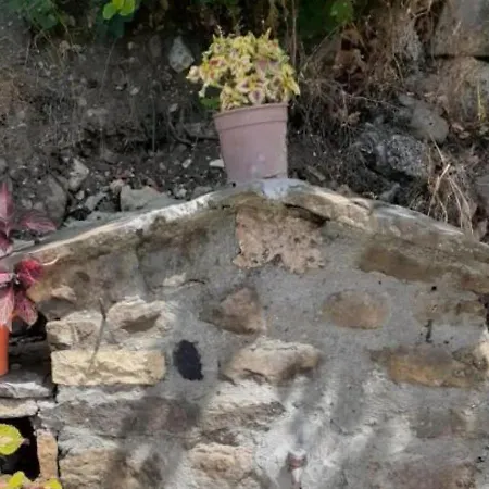 Pensión Sofia Gllava -