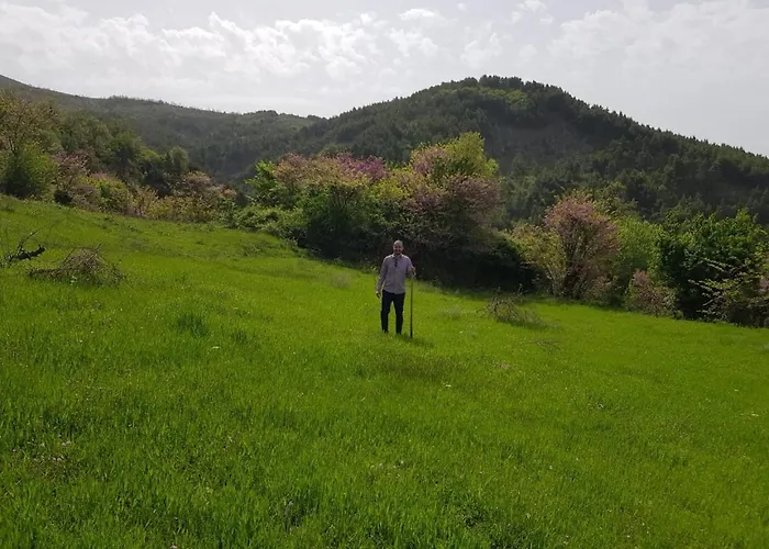 Casa de hóspedes Sofia Gllava - Memaliaj