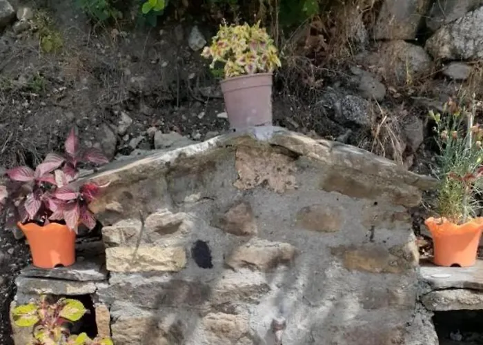 Casa de hóspedes Sofia Gllava -