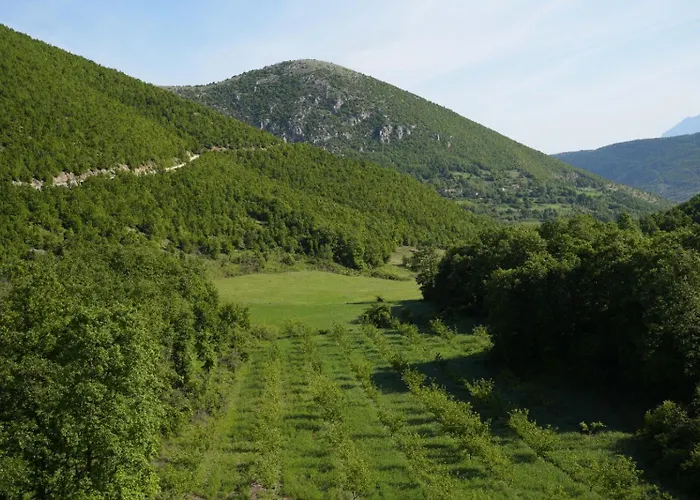 Sofia Gllava - Memaliaj